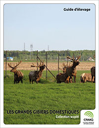 Collection Wapiti