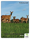 Domestic Game Farm Animals - Red Deer