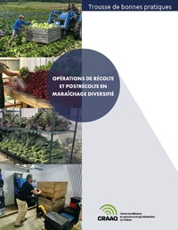 Trousse de bonnes pratiques - Opérations de récolte et postrécolte en maraîchage diversifié (PDF)