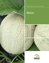 Fiche technico-économique - Melon (PDF)
