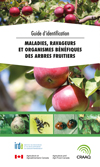 Guide d'identification - Maladies, ravageurs et organismes bénéfiques des arbres fruitiers
