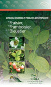 Carences, désordres et problèmes de phytotoxicité du fraisier, du framboisier et du bleuetier