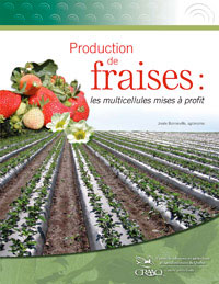 Production de fraises : les multicellules mises à profit