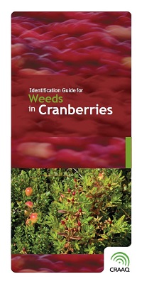 Identification Guide for Weeds in Cranberries