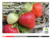 Fraisier : Guide des traitements phytosanitaires 2015