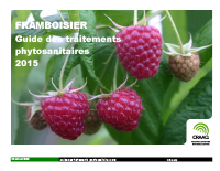 Framboisier : Guide des traitements phytosanitaires 2015