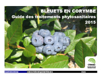 Bleuets en corymbe : Guide des traitements phytosanitaires 2015
