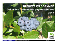 Bleuets en corymbe : Guide des traitements phytosanitaires 2017
