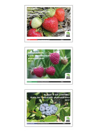 Collection Petits fruits : Guides des traitements phytosanitaires 2017