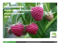 Framboisier : Guide des traitements phytosanitaires 2018