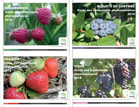 Collection Petits fruits : Guides des traitements phytosanitaires 2018 (PDF)