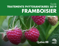 Framboisier : Traitements phytosanitaires 2019 (PDF)