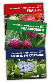 Collection Petits fruits : Traitements phytosanitaires 2019 (PDF)