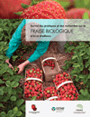 Survol des pratiques et des recherches sur la fraise biologique d’ici et d’ailleurs