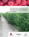 Survol des pratiques et des recherches sur la framboise biologique d’ici et d’ailleurs