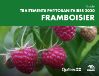 Framboisier : Traitements phytosanitaires 2020 (PDF)