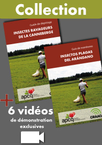 Collection Guide de dépistage : Insectes ravageurs de la canneberge (versions française et espagnole)