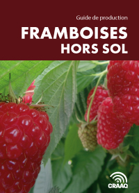 Guide de production - Framboises hors sol (PDF)