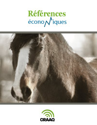 Cheval de randonnée et de tourisme équestre - Budget d'entreprise