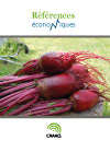Betterave - Budget - Légumes en terre minérale - Juillet 2010