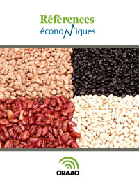 Haricots secs :  rognon et canneberge - Budget à l'hectare - 2024