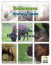 Lapins assainis - Budget - Clapier de 450 femelles reproductrices - Novembre 2007