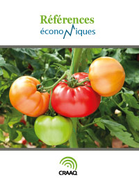 Tomates à croissance indéterminée - Tuteurées et sur paillis - Budget - Légumes en terre minérale - Mai 2007