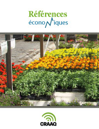 Boutures de plantes printanières en plateaux alvéolés - Budget (trois scénarios de production) - 2023