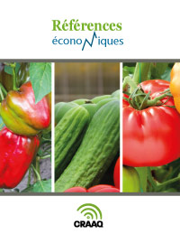 Tomates, concombres, laitues et poivrons en serre - Budget d’entreprise - 2020
