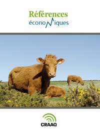 Veaux d'embouche - Budget 50 vaches - 2020