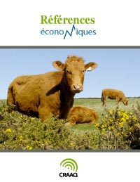 Veaux d'embouche  - Budget 140 vaches - 2019