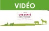 Collection de l'Assemblée annuelle des partenaires 2020 de la SQSBEA