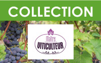 Formation Maître viticulteur