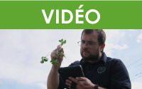 Formation Maître viticulteur : Gérer les mauvaises herbes