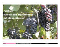 Vigne : Guide des traitements phytosanitaires 2017 (PDF)