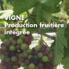 Affiche de production fruitière intégrée - Vigne 2021