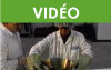 Transformation du sirop d'érable - Partie 1