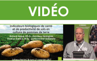 Indicateurs biologiques de santé et de productivité de sols en culture de pommes de terre