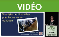 Nutritional Strategies for Transition cows (Stratégies nutritionnelles pour les vaches en transition)
