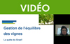 Comment gérer la vigueur de la vigne - quelques valeurs de référence