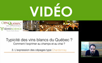 Typicité des vins blancs : les vinifications type Chardonnay