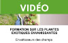 Les plantes exotiques envahissantes des champs (3 vidéos)