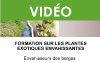 Les plantes exotiques envahissantes en milieu riverain (3 vidéos)
