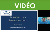 La culture des bleuets en pots à la Bleuetière de Parisville Inc.