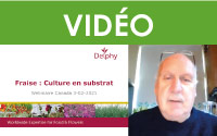 La culture des fraises sur substrat (Strawberry on substrate)