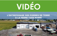 L'entreposage des pommes de terre à la Ferme Yves Barré