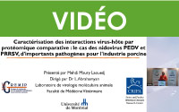 Caractérisation des interactions virus-hôte par protéomique comparative : le cas des nidovirus PEDV et PRRSV, d'importants pathogènes pour l'industrie porcine