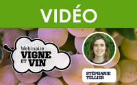 Comprendre le mode d'action des biofongicides pour mieux les utiliser