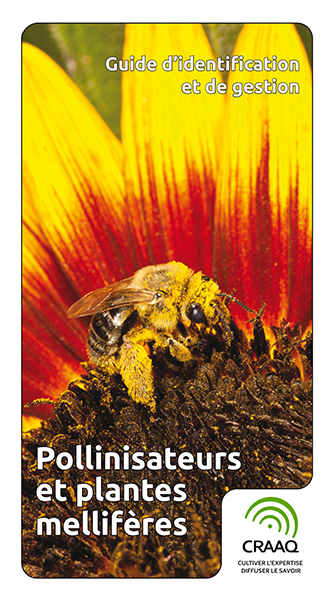 Guide d'identification et de gestion - Pollinisateurs et plantes mellifères (PDF)