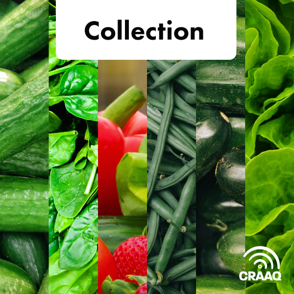  Collection fiches techniques en serre - Concombres, courgettes/zucchinis, épinards, haricots, laitues (PDF)